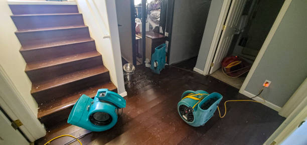 Best Sewage cleanup and water damage restoration  in Savannah, GA