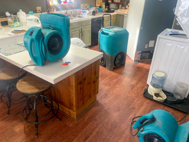 Best Water damage restoration near me  in Savannah, GA