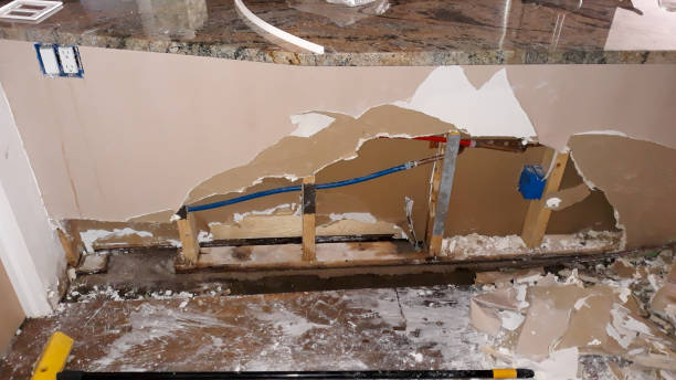 Best Sewage cleanup and water damage restoration  in Savannah, GA