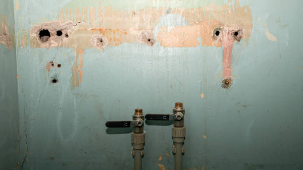 Best Basement water damage restoration  in Savannah, GA