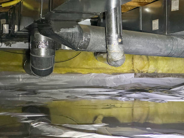 Best 24/7 water damage repair  in Savannah, GA